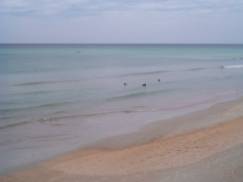 Beach Scene