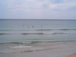 Beach Scene