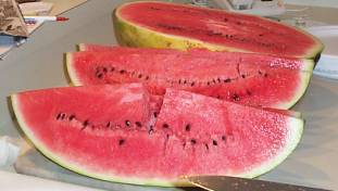 Yummy Watermelon!