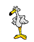 Another Seagull