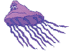 Jelly Fish
